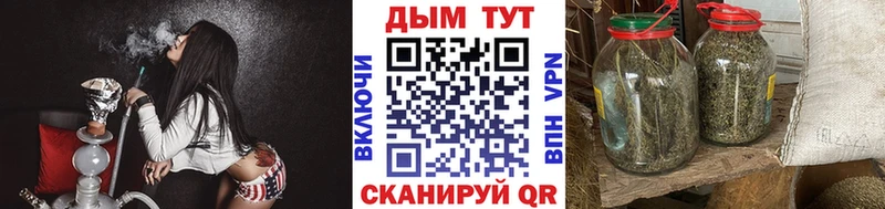 Где купить наркоту Курган ГАШ  А ПВП  Псилоцибиновые грибы  НБОМе  Меф мяу мяу  Бошки Шишки 