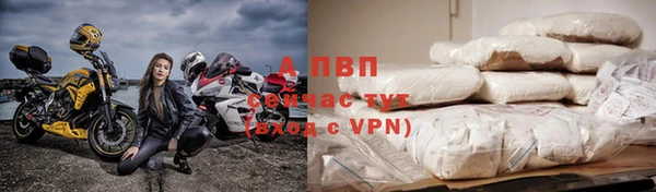 гашик Володарск