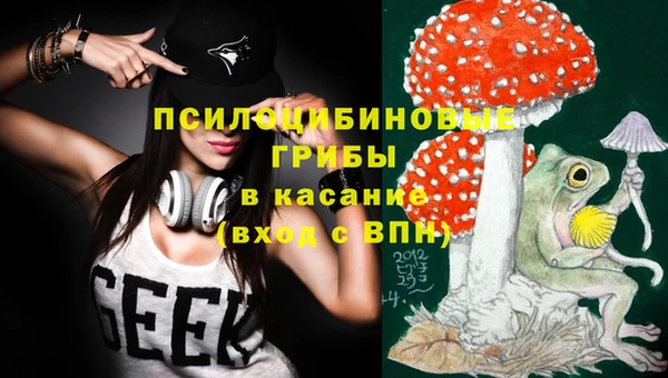 гашик Володарск