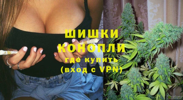 гашик Володарск