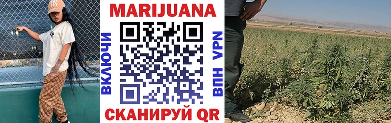 цена   Курган  Канабис сатива 